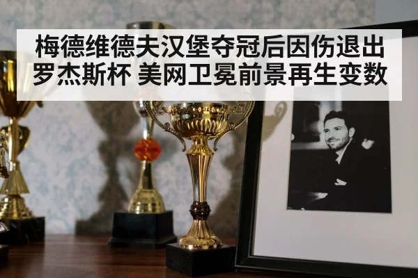 梅德维德夫汉堡夺冠后因伤退出罗杰斯杯 美网卫冕前景再生变数