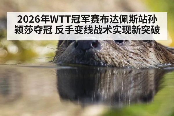 2026年WTT冠军赛布达佩斯站孙颖莎夺冠 反手变线战术实现新突破