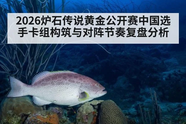 2026炉石传说黄金公开赛中国选手卡组构筑与对阵节奏复盘分析