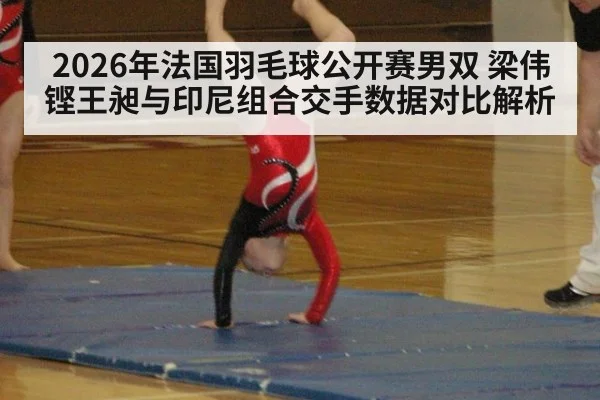 2026年法国羽毛球公开赛男双 梁伟铿王昶与印尼组合交手数据对比解析